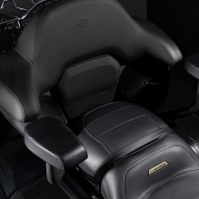 Grand Tour-Pak Passenger Armrests