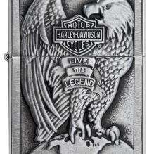 USA Eagle & Globe