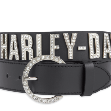 Crystal Font Leather Belt